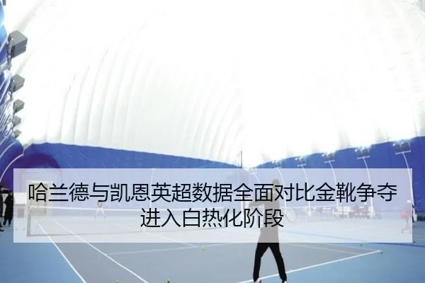 哈兰德与凯恩英超数据全面对比金靴争夺进入白热化阶段